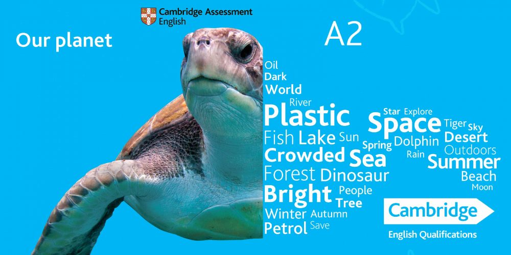 Фотография Курс ELEMENTARY