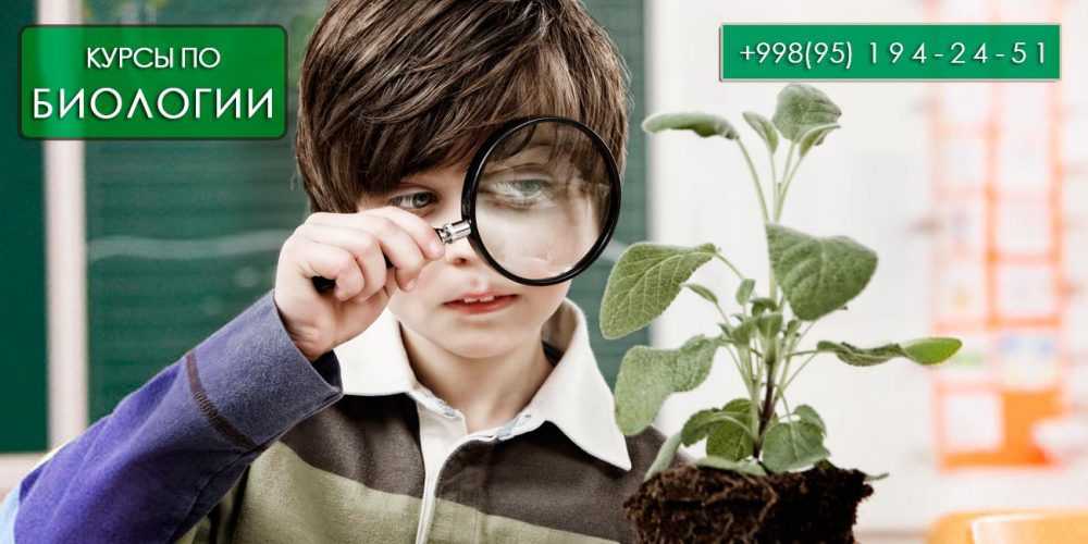 Фотография Курсы биологии REAL SCIENCE